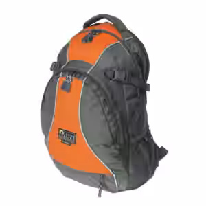 Active Leisure Daypack Albany grau/orange